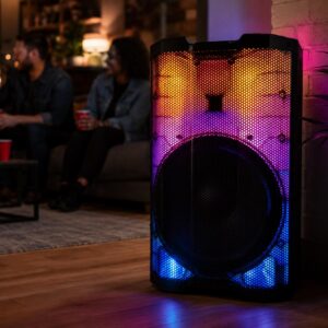 STAGE PRO 15 Inch 180-Watt Speaker Black